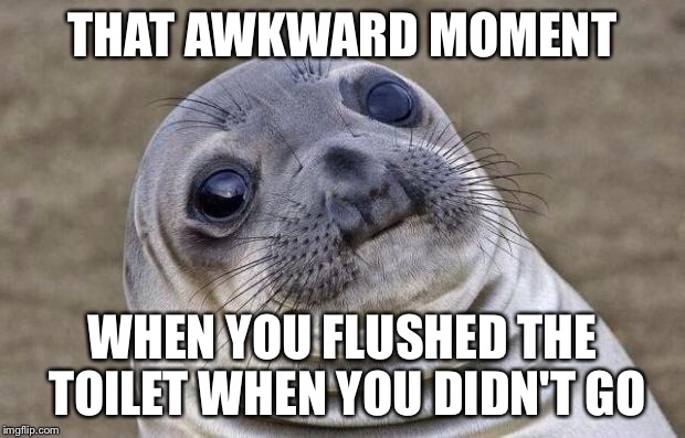Awkward Moment Sealion | THAT AWKWARD MOMENT WHEN YOU FLUSHED THE TOILET WHEN YOU DIDN'T GO | image tagged in memes,awkward moment sealion | made w/ Imgflip meme maker