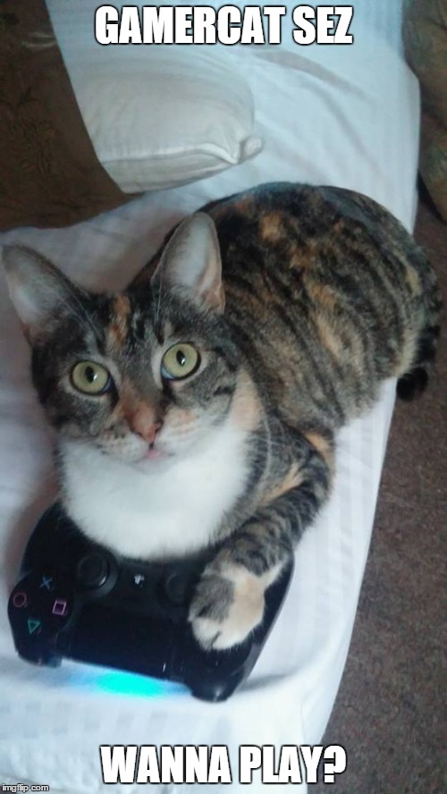 GAMERCAT SEZ WANNA PLAY? | image tagged in gaming,cats,cute cat | made w/ Imgflip meme maker