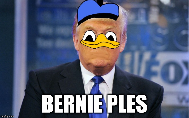 Dolan Trump | BERNIE PLES | image tagged in dolan,politics,donald trump | made w/ Imgflip meme maker