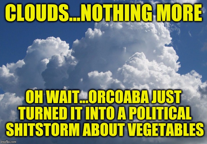 Anyone else notice this tendency...? | CLOUDS...NOTHING MORE OH WAIT...ORCOABA JUST TURNED IT INTO A POLITICAL SHITSTORM ABOUT VEGETABLES | image tagged in billowingclouds,memes,politics | made w/ Imgflip meme maker