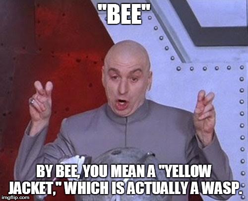 Dr Evil Laser Meme | "BEE" BY BEE, YOU MEAN A "YELLOW JACKET," WHICH IS ACTUALLY A WASP. | image tagged in memes,dr evil laser | made w/ Imgflip meme maker