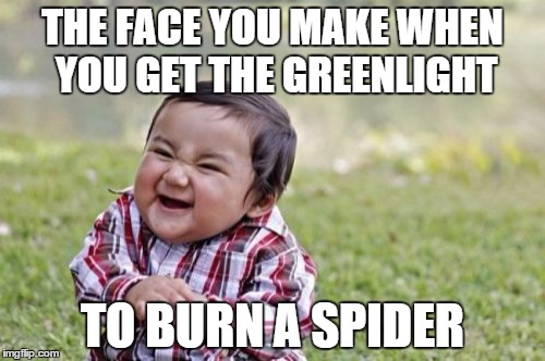 So I had a spider in my room for the first time in about 2 years | THE FACE YOU MAKE WHEN YOU GET THE GREENLIGHT TO BURN A SPIDER | image tagged in memes,evil toddler | made w/ Imgflip meme maker