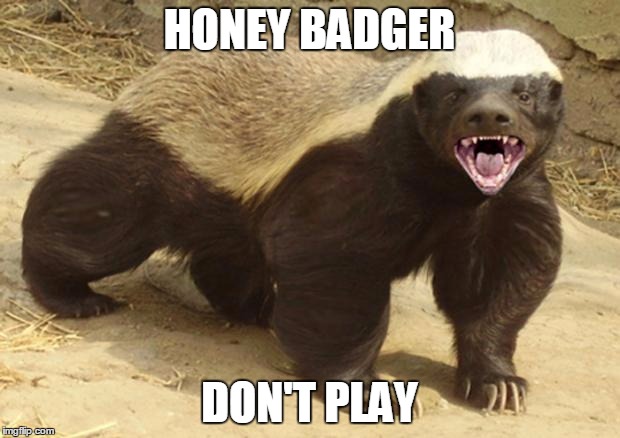 Honey badger | HONEY BADGER DON'T PLAY | image tagged in honey badger | made w/ Imgflip meme maker