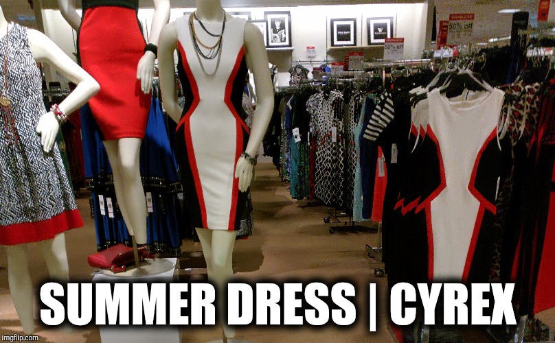 SUMMER DRESS | CYREX | made w/ Imgflip meme maker