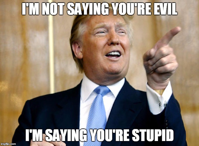 Donald Trump Pointing | I'M NOT SAYING YOU'RE EVIL I'M SAYING YOU'RE STUPID | image tagged in donald trump pointing | made w/ Imgflip meme maker