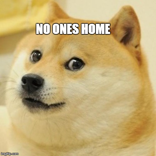 Doge Meme | NO ONES HOME | image tagged in memes,doge | made w/ Imgflip meme maker
