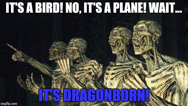 Skyrim Draugrs | IT'S A BIRD! NO, IT'S A PLANE! WAIT... IT'S DRAGONBORN! | image tagged in skyrim draugrs | made w/ Imgflip meme maker