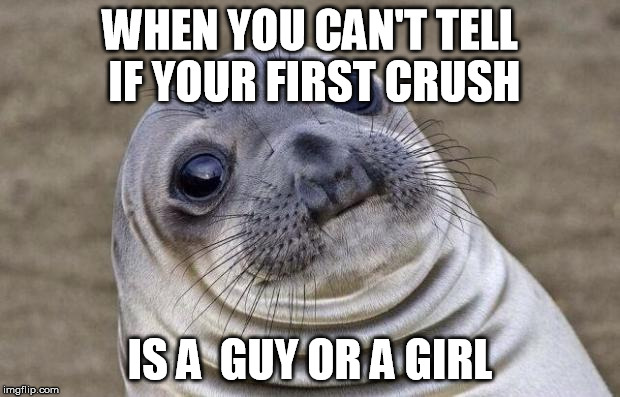 Awkward Moment Sealion | WHEN YOU CAN'T TELL IF YOUR FIRST CRUSH IS A  GUY OR A GIRL | image tagged in memes,awkward moment sealion | made w/ Imgflip meme maker