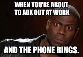 Kevin Hart Meme | WHEN YOU'RE ABOUT TO AUX OUT AT WORK AND THE PHONE RINGS. | image tagged in memes,kevin hart the hell | made w/ Imgflip meme maker
