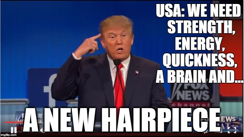 #donaldtrump says we need strength energy, quickness, and a brain to run country.  | USA: WE NEED STRENGTH, ENERGY, QUICKNESS, A BRAIN AND... A NEW HAIRPIECE | image tagged in donald trump,gopdebate,debate,donaldtrump,election 2016,usa | made w/ Imgflip meme maker