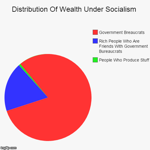 Distribution Of Wealth Under Socialism | image tagged in pie charts,socialism | made w/ Imgflip chart maker