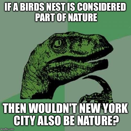 Habitats | IF A BIRDS NEST IS CONSIDERED PART OF NATURE THEN WOULDN'T NEW YORK CITY ALSO BE NATURE? | image tagged in memes,philosoraptor | made w/ Imgflip meme maker