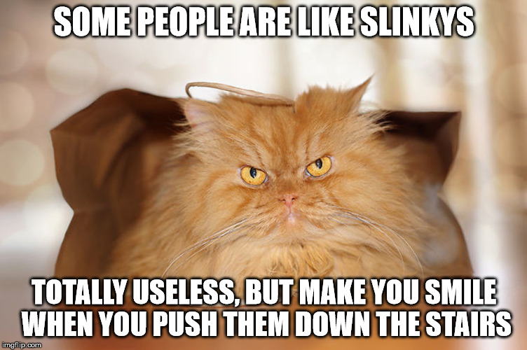 Evil thought | SOME PEOPLE ARE LIKE SLINKYS TOTALLY USELESS, BUT MAKE YOU SMILE WHEN YOU PUSH THEM DOWN THE STAIRS | image tagged in cat,evil,slinky,stairs | made w/ Imgflip meme maker