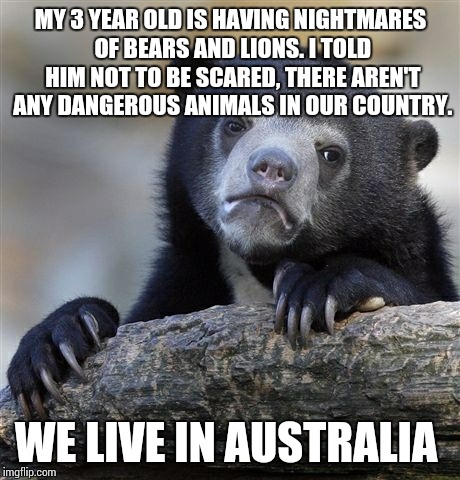 Confession Bear Meme | MY 3 YEAR OLD IS HAVING NIGHTMARES OF BEARS AND LIONS. I TOLD HIM NOT TO BE SCARED, THERE AREN'T ANY DANGEROUS ANIMALS IN OUR COUNTRY. WE LI | image tagged in memes,confession bear | made w/ Imgflip meme maker