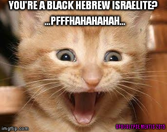 Excited Cat Meme | YOU'RE A BLACK HEBREW ISRAELITE? ...PFFFHAHAHAHAH... APOCALYPSE MENTIS 2015 | image tagged in memes,excited cat | made w/ Imgflip meme maker