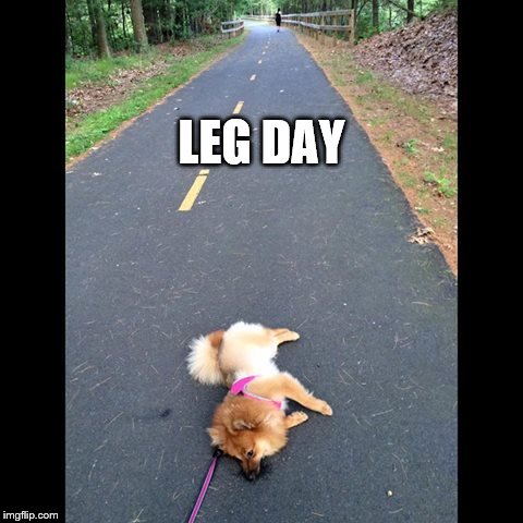 Can't Even | LEG DAY | image tagged in can't even | made w/ Imgflip meme maker
