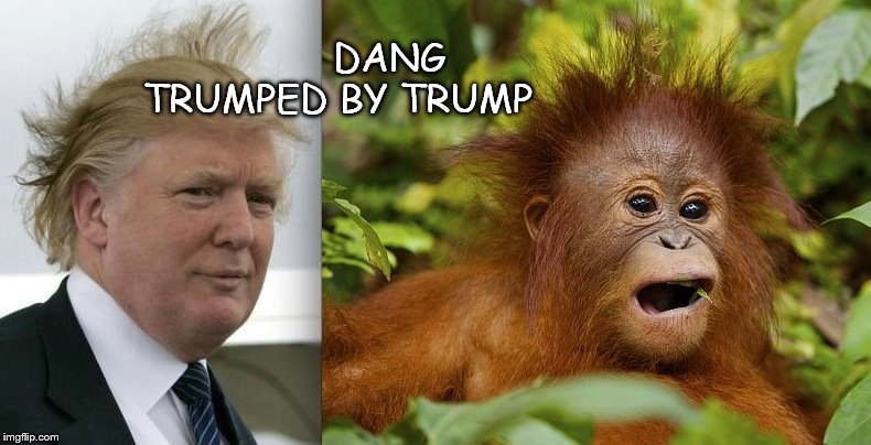 DANG TRUMPED BY TRUMP | image tagged in stole my look | made w/ Imgflip meme maker