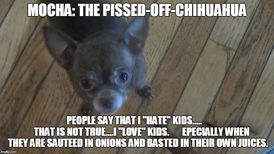 Mocha: The Pissed-Off-Chihuahua | MOCHA: THE PISSED-OFF-CHIHUAHUA PEOPLE SAY THAT I "HATE" KIDS.....              THAT IS NOT TRUE....I "LOVE" KIDS.       EPECIALLY WHEN THEY | image tagged in funny chihuahua,funny memes | made w/ Imgflip meme maker