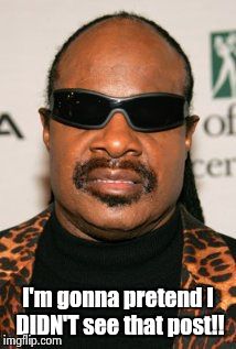 Stevie Be Like | I'm gonna pretend I DIDN'T see that post!! | image tagged in stevie wonder | made w/ Imgflip meme maker