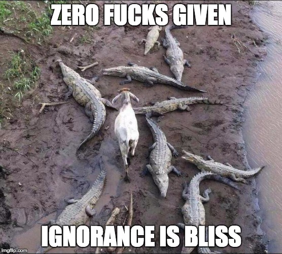 ZERO F**KS GIVEN IGNORANCE IS BLISS | image tagged in cow a bunga | made w/ Imgflip meme maker
