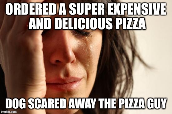 First World Problems | ORDERED A SUPER EXPENSIVE AND DELICIOUS PIZZA DOG SCARED AWAY THE PIZZA GUY | image tagged in memes,first world problems | made w/ Imgflip meme maker