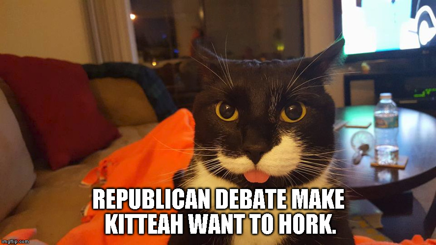 republican debate | REPUBLICAN DEBATE MAKE KITTEAH WANT TO HORK. | image tagged in repubicans,vomit | made w/ Imgflip meme maker