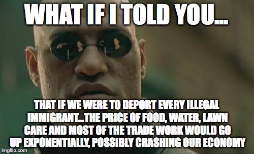 Matrix Morpheus Meme | WHAT IF I TOLD YOU... THAT IF WE WERE TO DEPORT EVERY ILLEGAL IMMIGRANT...THE PRICE OF FOOD, WATER, LAWN CARE AND MOST OF THE TRADE WORK WOU | image tagged in memes,matrix morpheus | made w/ Imgflip meme maker