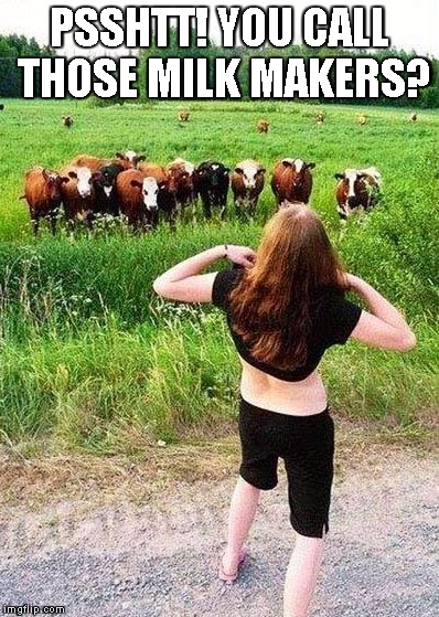 Flashing Cows(?) | PSSHTT! YOU CALL THOSE MILK MAKERS? | image tagged in flashing cows | made w/ Imgflip meme maker