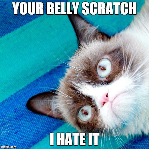 Grumpy Cat and Your Belly Scratch | YOUR BELLY SCRATCH I HATE IT | image tagged in grumpy cat,belly,cats,scratch | made w/ Imgflip meme maker