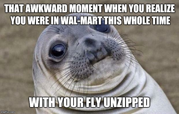 Awkward Moment Sealion Meme | THAT AWKWARD MOMENT WHEN YOU REALIZE YOU WERE IN WAL-MART THIS WHOLE TIME WITH YOUR FLY UNZIPPED | image tagged in memes,awkward moment sealion | made w/ Imgflip meme maker