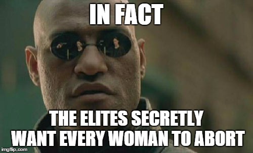 Matrix Morpheus Meme | IN FACT THE ELITES SECRETLY WANT EVERY WOMAN TO ABORT | image tagged in memes,matrix morpheus | made w/ Imgflip meme maker