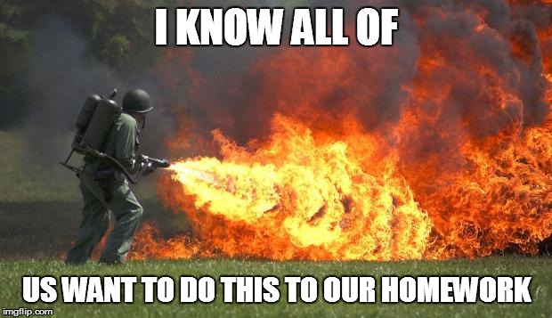 flamethrower | I KNOW ALL OF US WANT TO DO THIS TO OUR HOMEWORK | image tagged in flamethrower | made w/ Imgflip meme maker