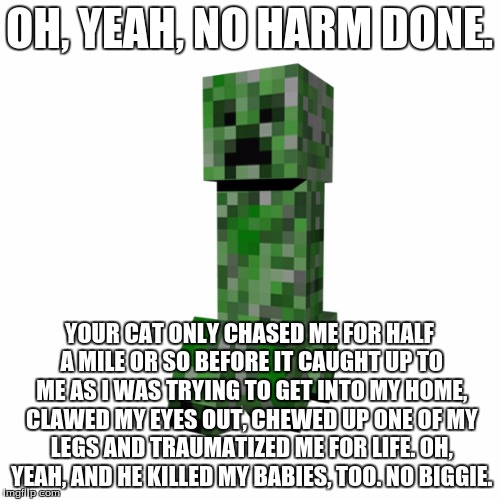 OH, YEAH, NO HARM DONE. YOUR CAT ONLY CHASED ME FOR HALF A MILE OR SO BEFORE IT CAUGHT UP TO ME AS I WAS TRYING TO GET INTO MY HOME, CLAWED  | made w/ Imgflip meme maker