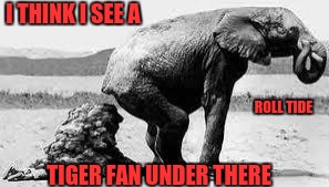 Elephant Poopy | I THINK I SEE A TIGER FAN UNDER THERE ROLL TIDE | image tagged in elephant poopy | made w/ Imgflip meme maker