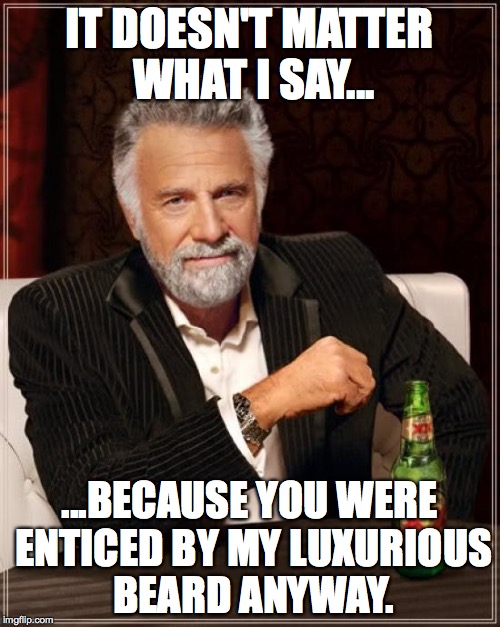Pointless meme | IT DOESN'T MATTER WHAT I SAY... ...BECAUSE YOU WERE ENTICED BY MY LUXURIOUS BEARD ANYWAY. | image tagged in memes,the most interesting man in the world,beards,true story,sexy,pointless | made w/ Imgflip meme maker