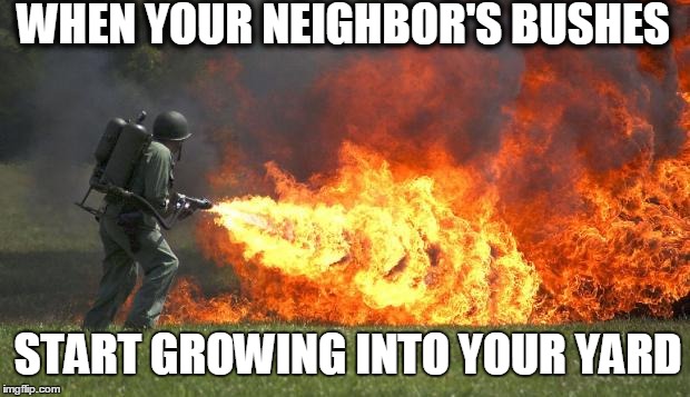 flamethrower | WHEN YOUR NEIGHBOR'S BUSHES START GROWING INTO YOUR YARD | image tagged in flamethrower | made w/ Imgflip meme maker