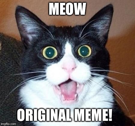 whoa cat | MEOW ORIGINAL MEME! | image tagged in whoa cat | made w/ Imgflip meme maker