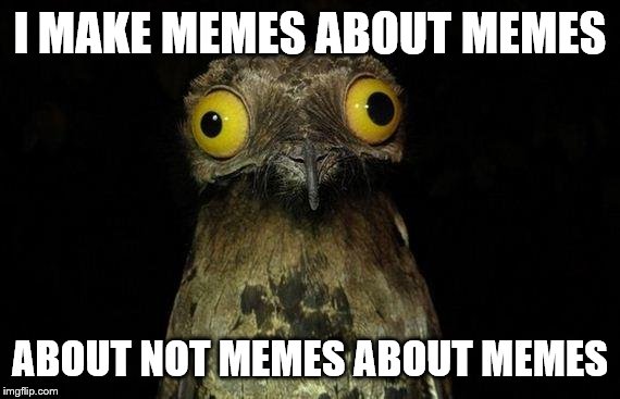 Weird Stuff I Do Potoo | I MAKE MEMES ABOUT MEMES ABOUT NOT MEMES ABOUT MEMES | image tagged in weird stuff i do potoo | made w/ Imgflip meme maker