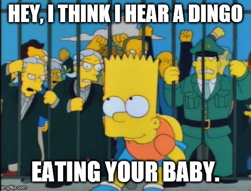 HEY, I THINK I HEAR A DINGO EATING YOUR BABY. | image tagged in bart moons australia | made w/ Imgflip meme maker