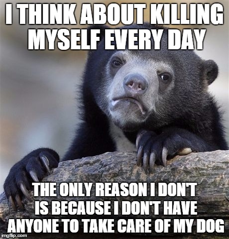 Confession Bear | I THINK ABOUT KILLING MYSELF EVERY DAY THE ONLY REASON I DON'T IS BECAUSE I DON'T HAVE ANYONE TO TAKE CARE OF MY DOG | image tagged in memes,confession bear,AdviceAnimals | made w/ Imgflip meme maker