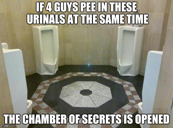 IF 4 GUYS PEE IN THESE URINALS AT THE SAME TIME THE CHAMBER OF SECRETS IS OPENED | image tagged in harry potter,magic,secret | made w/ Imgflip meme maker