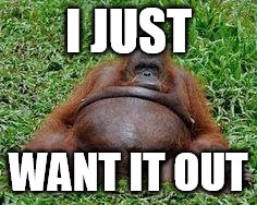 Pregnant monkey | I JUST WANT IT OUT | image tagged in pregnant monkey | made w/ Imgflip meme maker