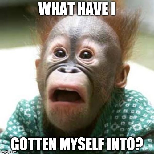 Scared monkey | WHAT HAVE I GOTTEN MYSELF INTO? | image tagged in scared monkey | made w/ Imgflip meme maker