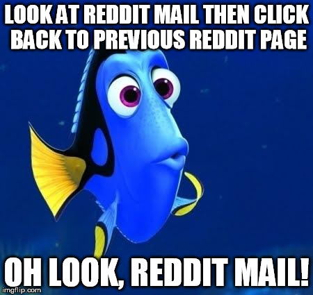 dory forgets | LOOK AT REDDIT MAIL THEN CLICK BACK TO PREVIOUS REDDIT PAGE OH LOOK, REDDIT MAIL! | image tagged in dory forgets,AdviceAnimals | made w/ Imgflip meme maker