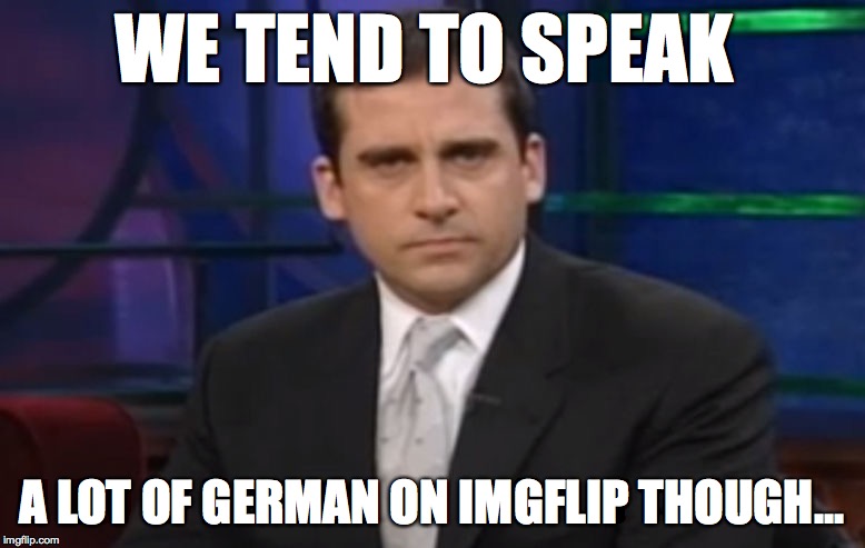 Politically Correct Carell | WE TEND TO SPEAK A LOT OF GERMAN ON IMGFLIP THOUGH... | image tagged in politically correct carell | made w/ Imgflip meme maker