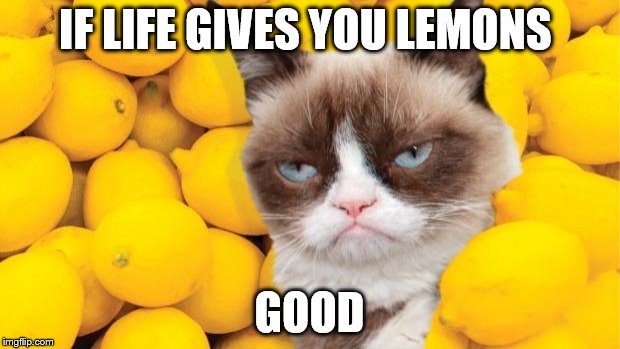 Grumpy Cat lemons | IF LIFE GIVES YOU LEMONS GOOD | image tagged in grumpy cat lemons | made w/ Imgflip meme maker