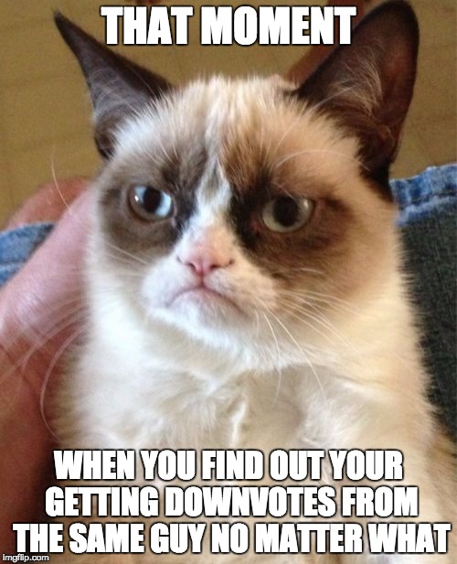 Grumpy Cat | THAT MOMENT WHEN YOU FIND OUT YOUR GETTING DOWNVOTES FROM THE SAME GUY NO MATTER WHAT | image tagged in memes,grumpy cat | made w/ Imgflip meme maker