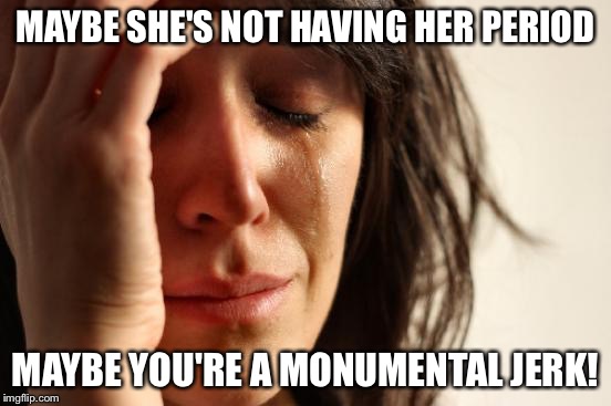 First World Problems | MAYBE SHE'S NOT HAVING HER PERIOD MAYBE YOU'RE A MONUMENTAL JERK! | image tagged in memes,first world problems | made w/ Imgflip meme maker