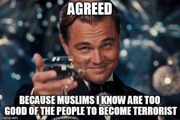 Leonardo Dicaprio Cheers Meme | AGREED BECAUSE MUSLIMS I KNOW ARE TOO GOOD OF THE PEOPLE TO BECOME TERRORIST | image tagged in memes,leonardo dicaprio cheers | made w/ Imgflip meme maker