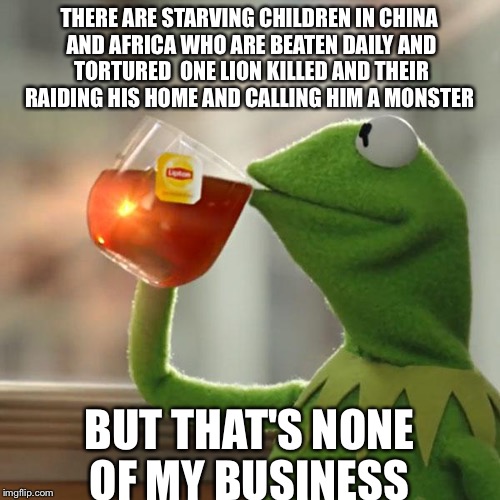 But That's None Of My Business Meme | THERE ARE STARVING CHILDREN IN CHINA AND AFRICA WHO ARE BEATEN DAILY AND TORTURED  ONE LION KILLED AND THEIR RAIDING HIS HOME AND CALLING HI | image tagged in memes,but thats none of my business,kermit the frog | made w/ Imgflip meme maker